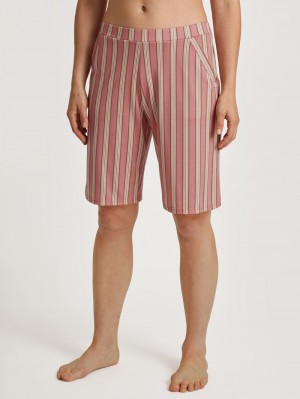 Italian Rose Calida Special Women Loungewear | CGEWA-8791